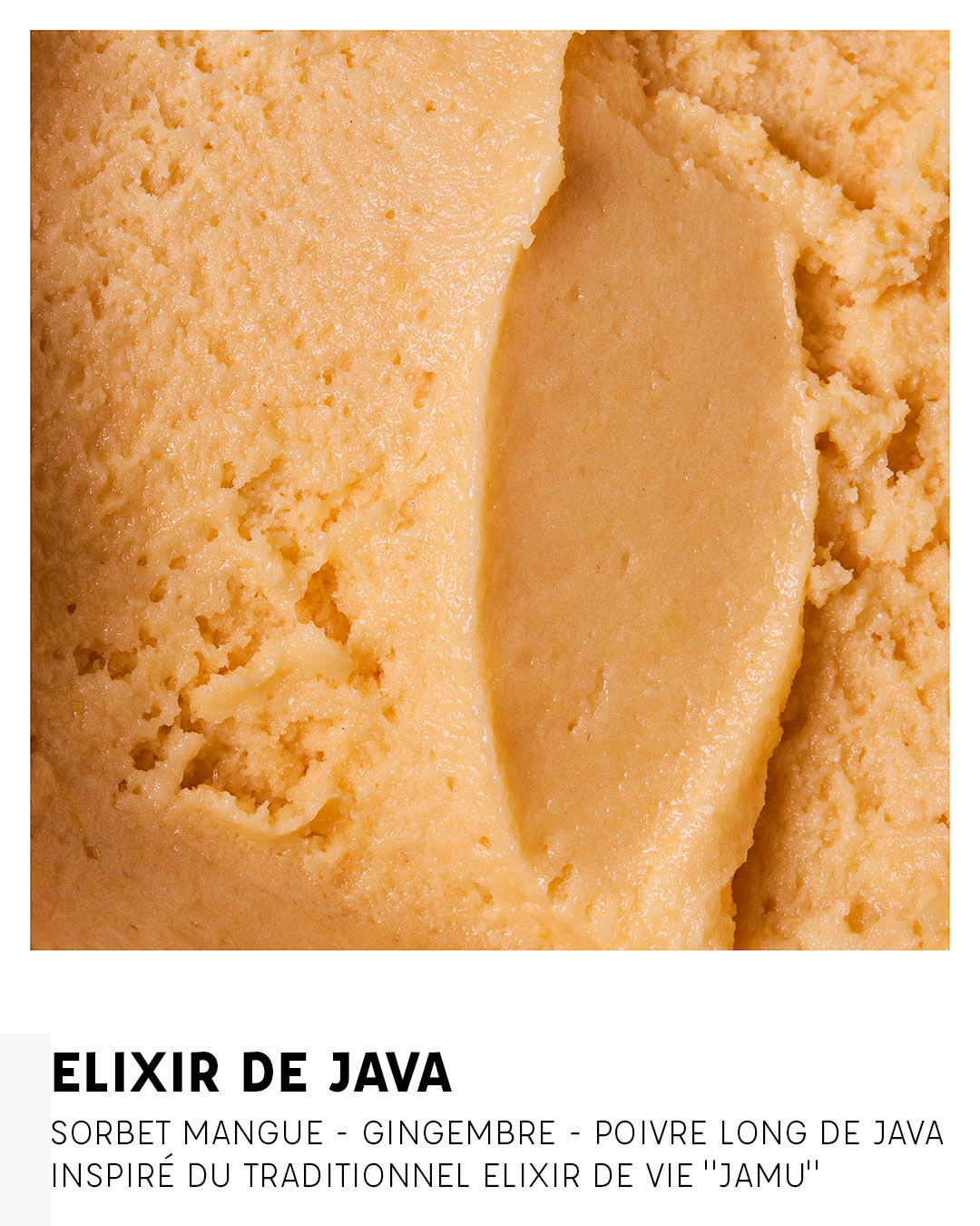 Élixir de Java : Mangue, Gingembre
