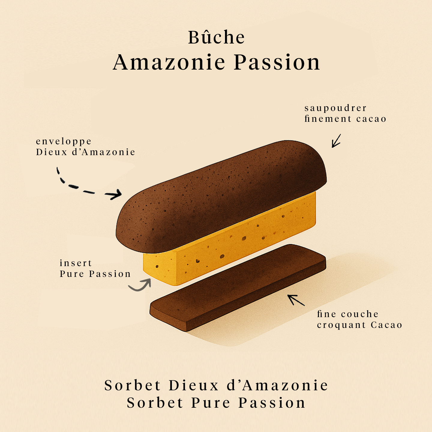 Bûche Amazonie - Passion