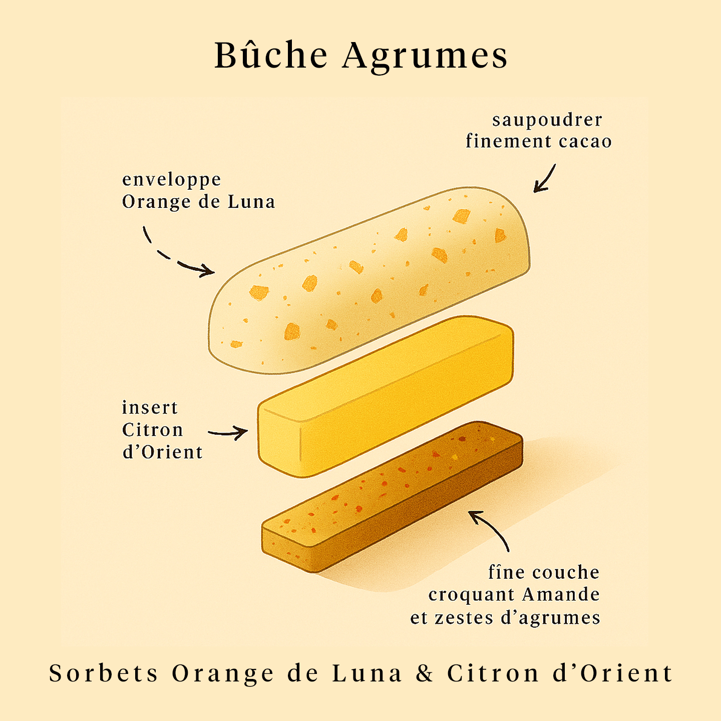 Bûche Orange - Citron