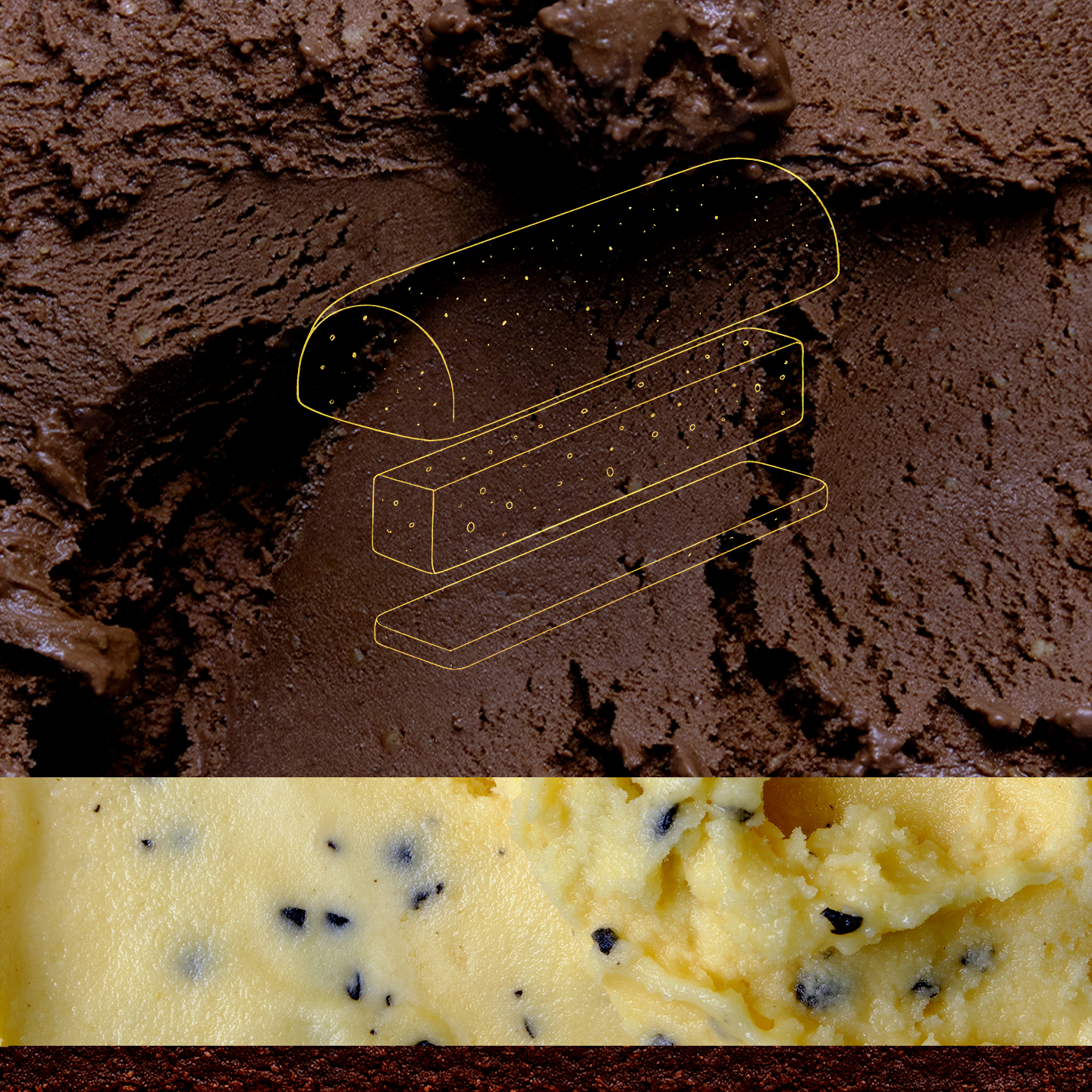 Bûche Amazonie - Passion