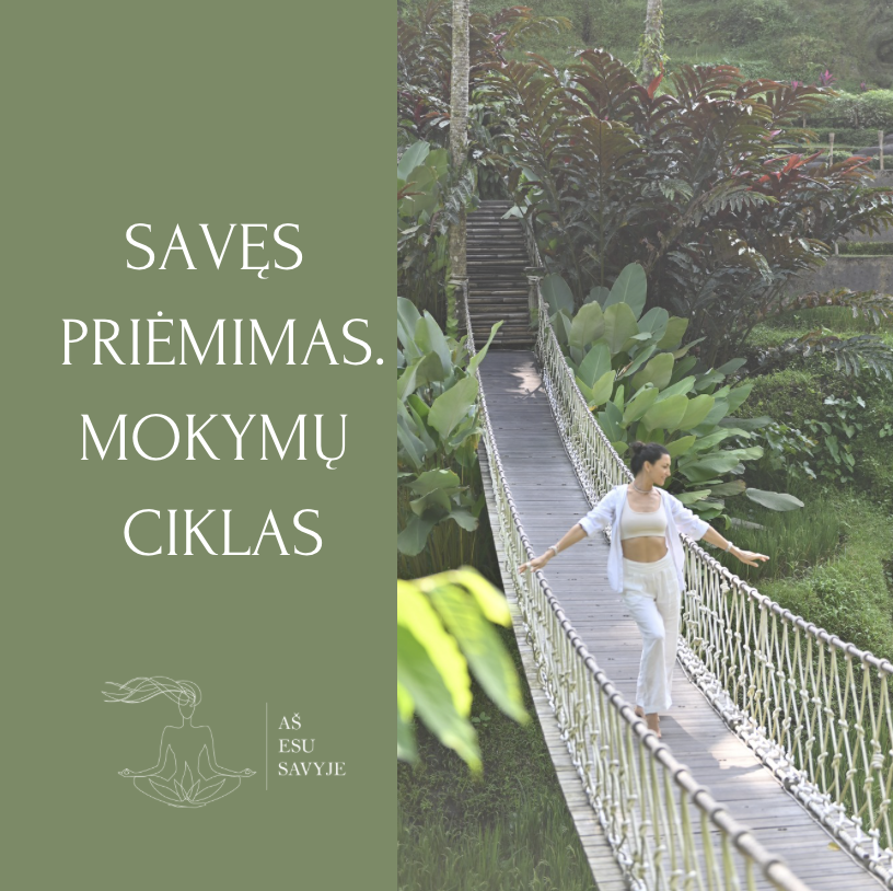 Savęs priėmimas. Mokymų ciklas