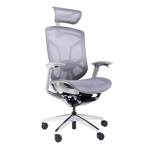 Premium Aluminum ergonomic chair with mesh and paddle control system