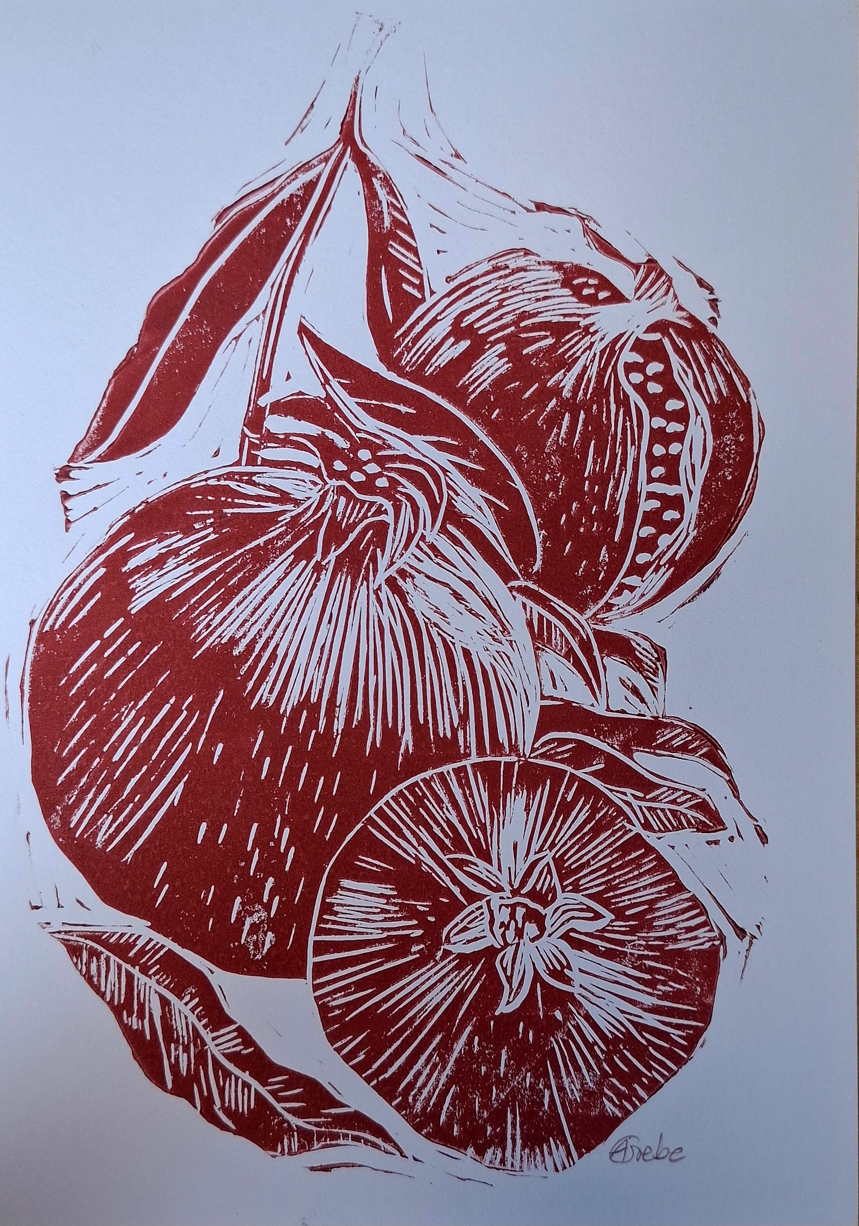 Linolschnitt Kunstwerk 'Granatäpfel'