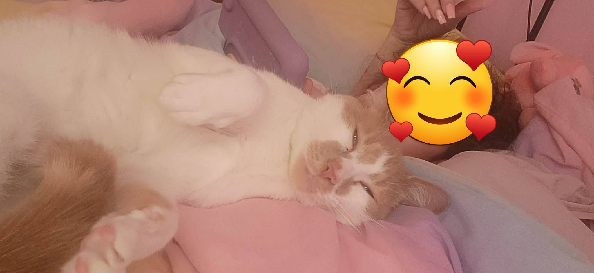 Prince