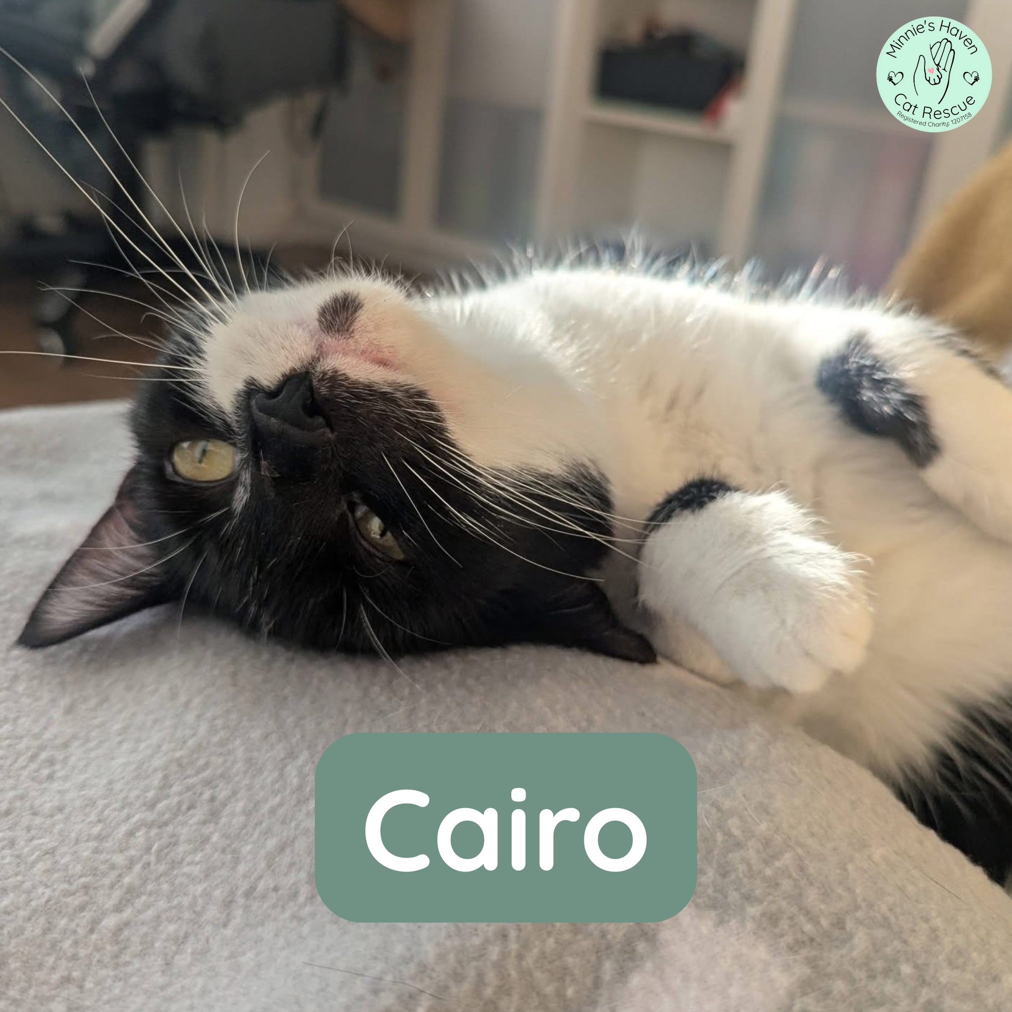 Cairo