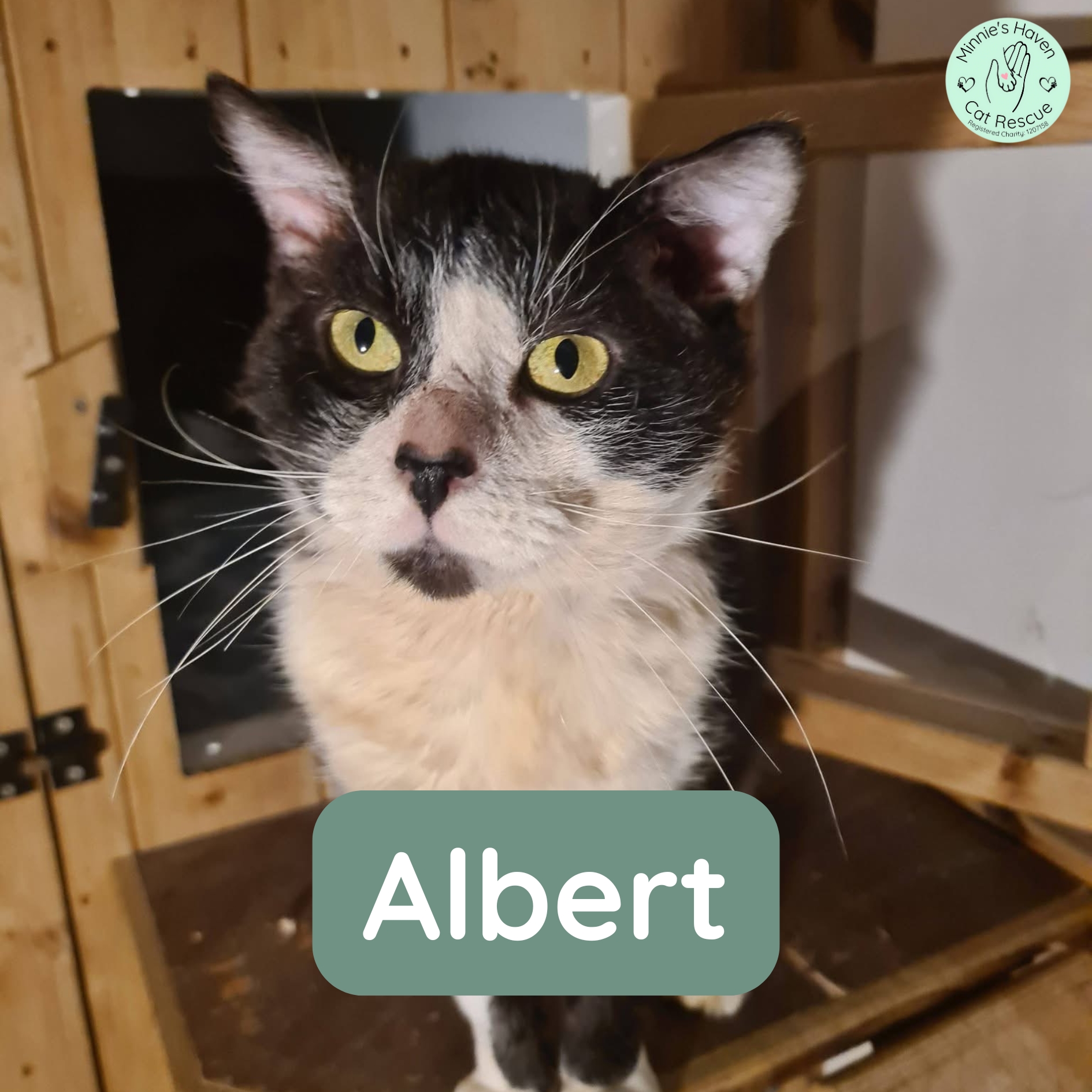 Albert