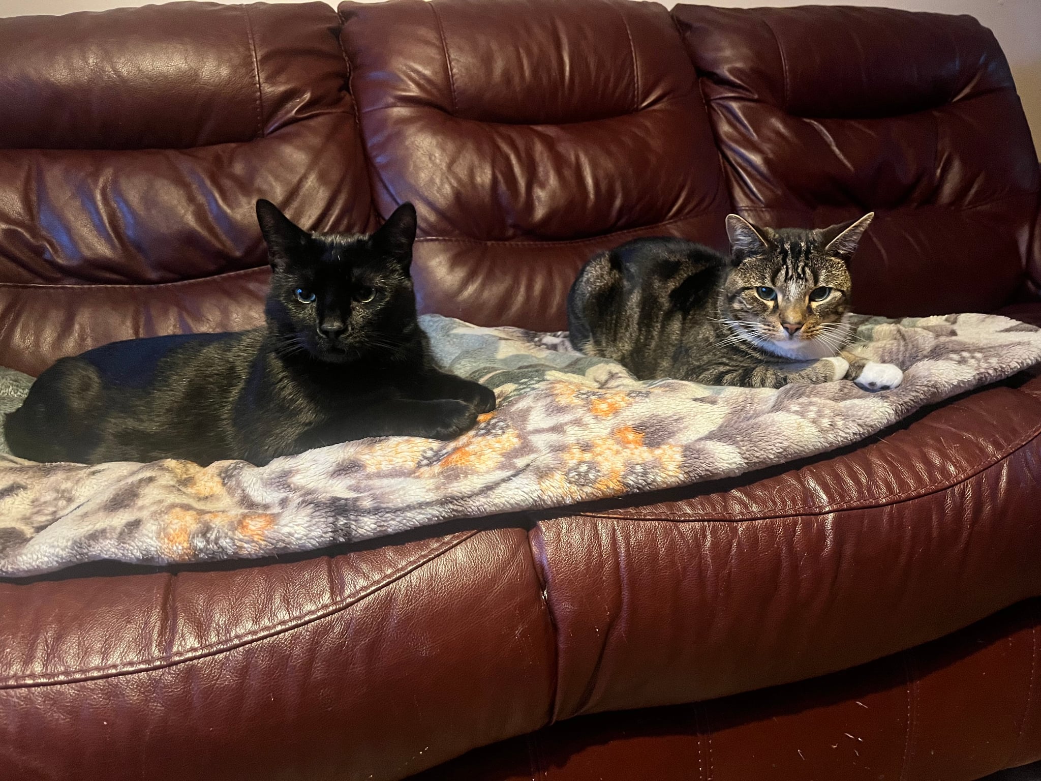 Bruce and Kain