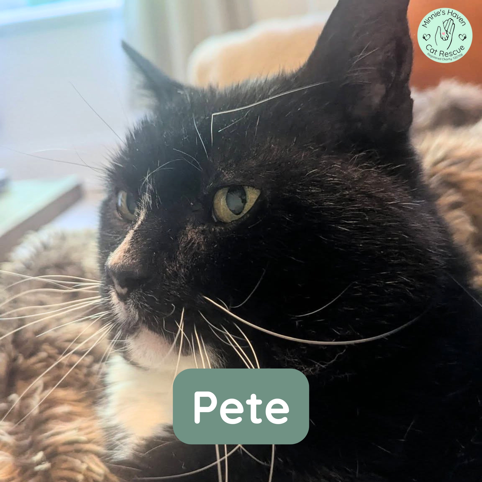 Pete