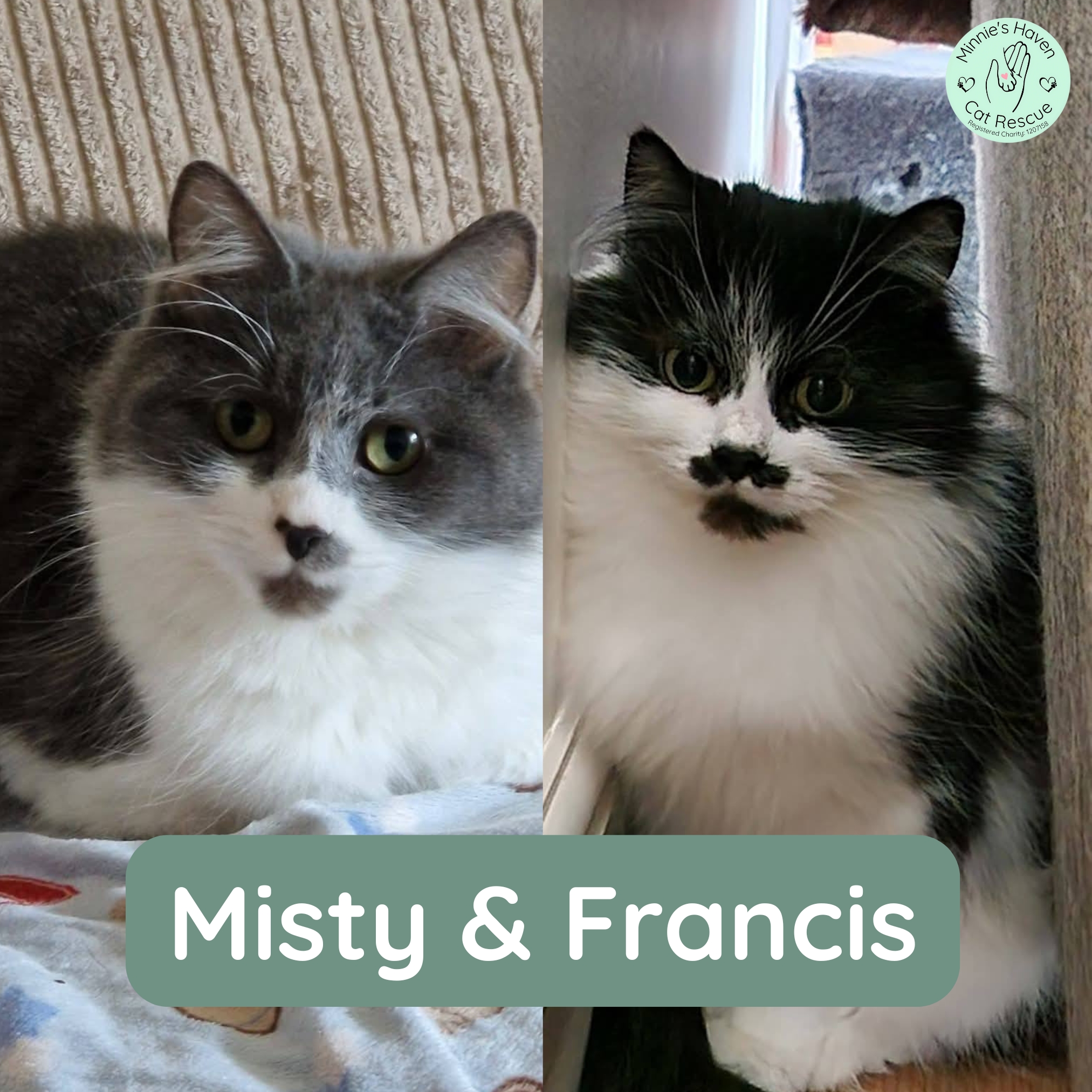 Misty & Francis