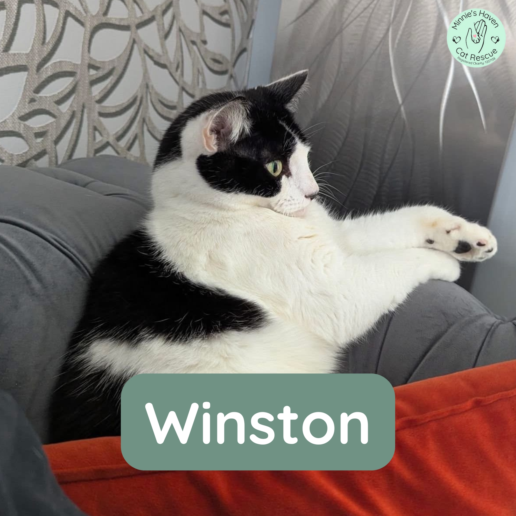 Winston