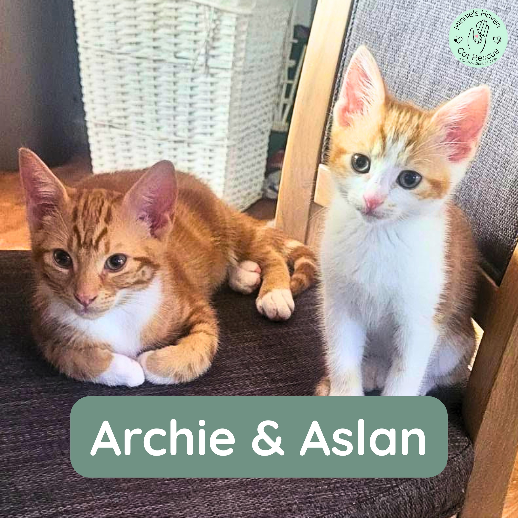 Archie & Aslan