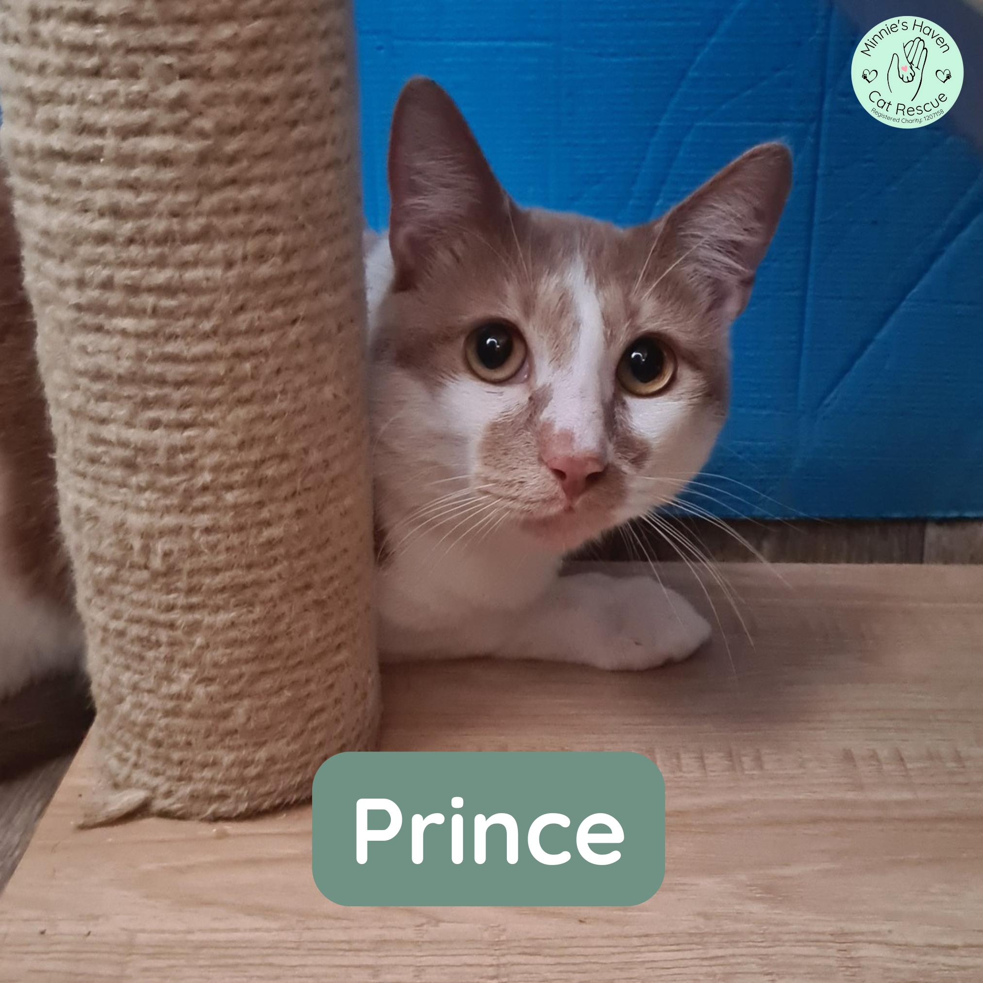 Prince