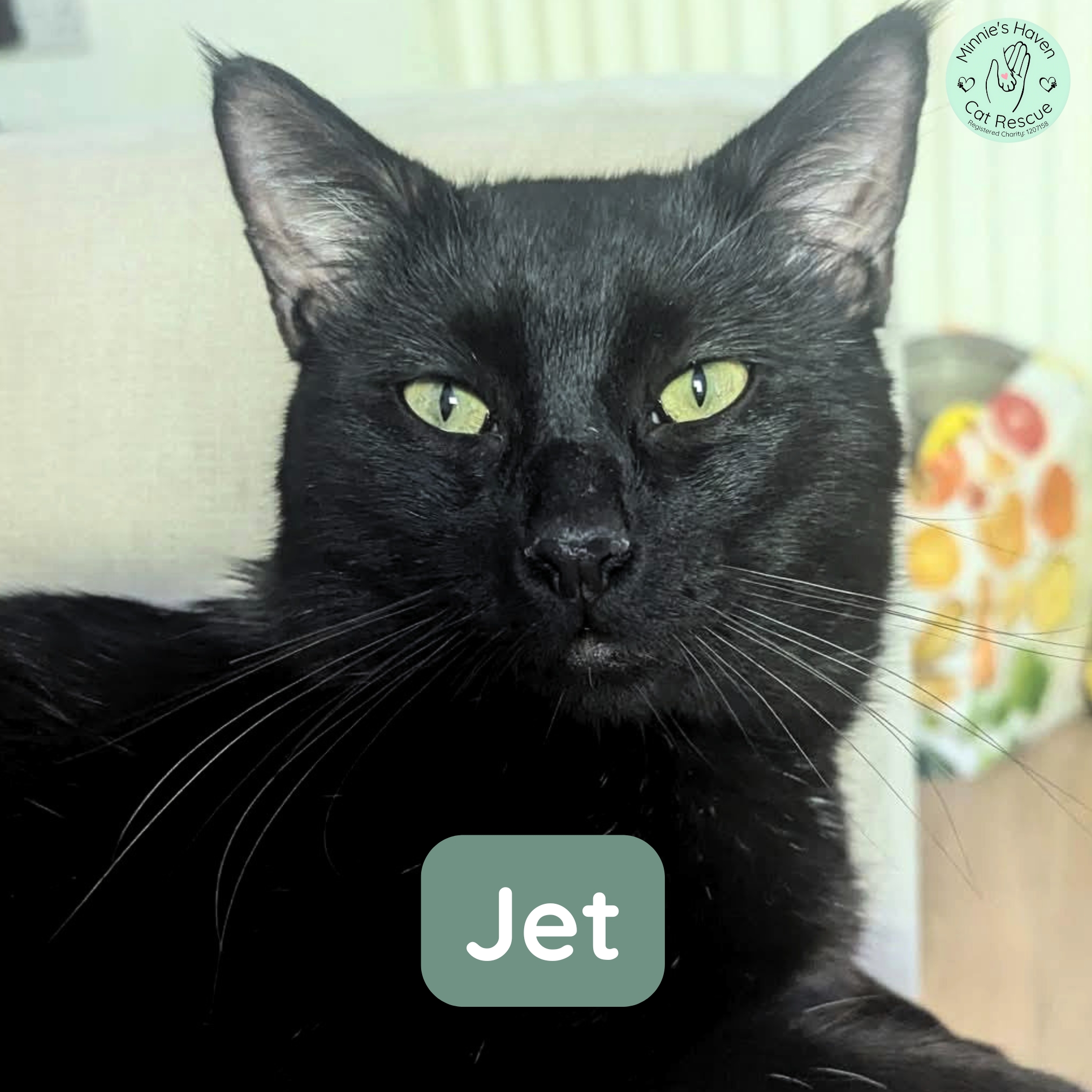 Jet