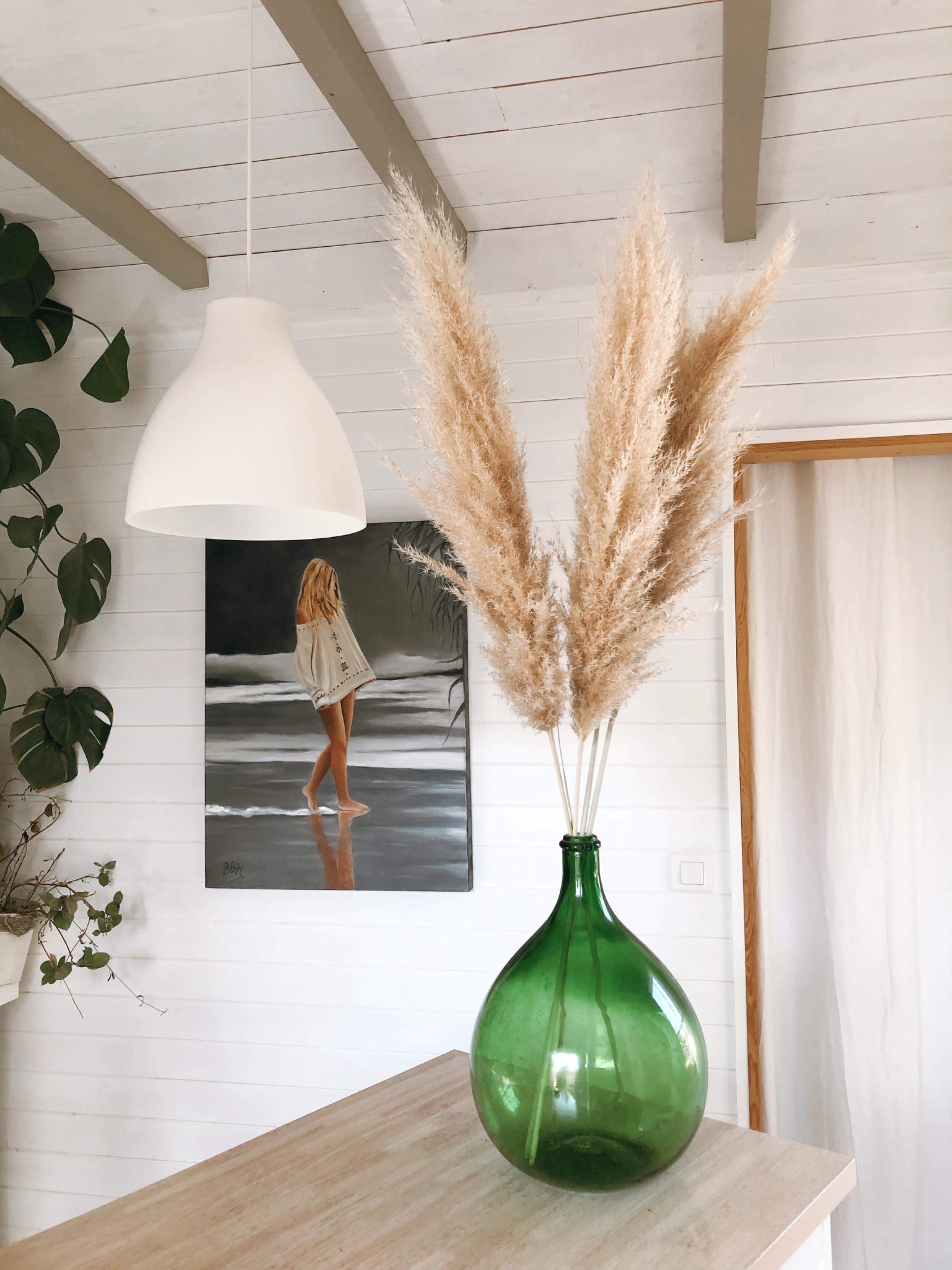 Pampas séchées 90cm à 115cm