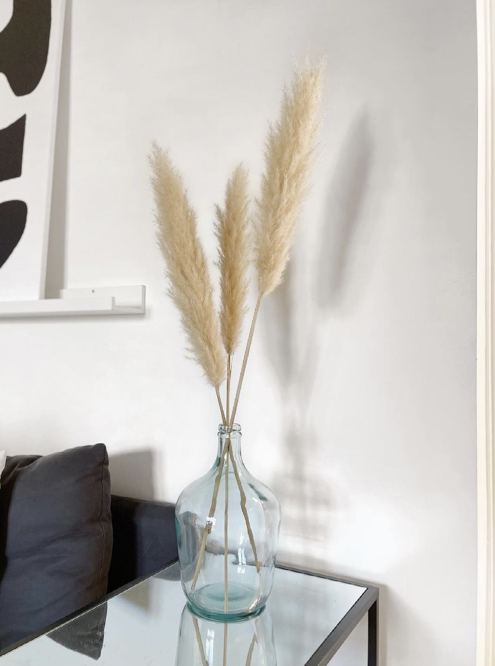 Pampas séchées 90cm à 115cm