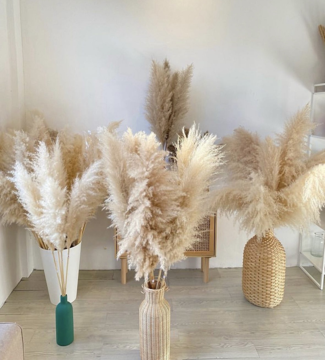 Pampas touffues naturelles crème et rosé/violacé 90cm à 120cm