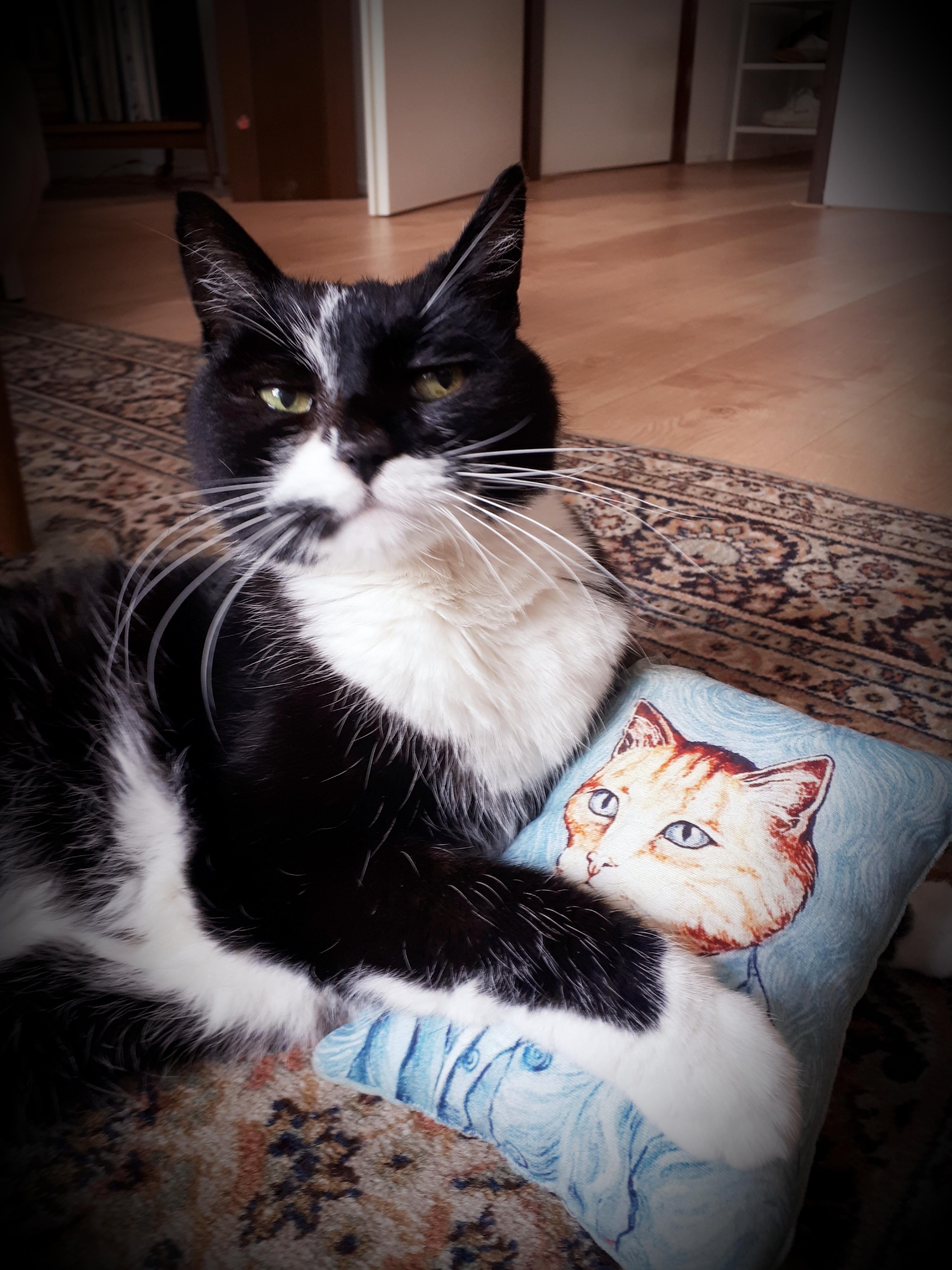 Pussolini™ Cat Van Gogh