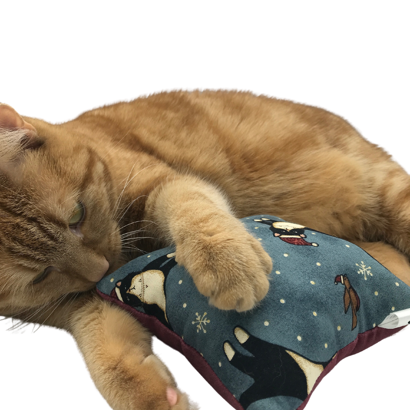 Pussolini Christmas Cat vintage yellow
