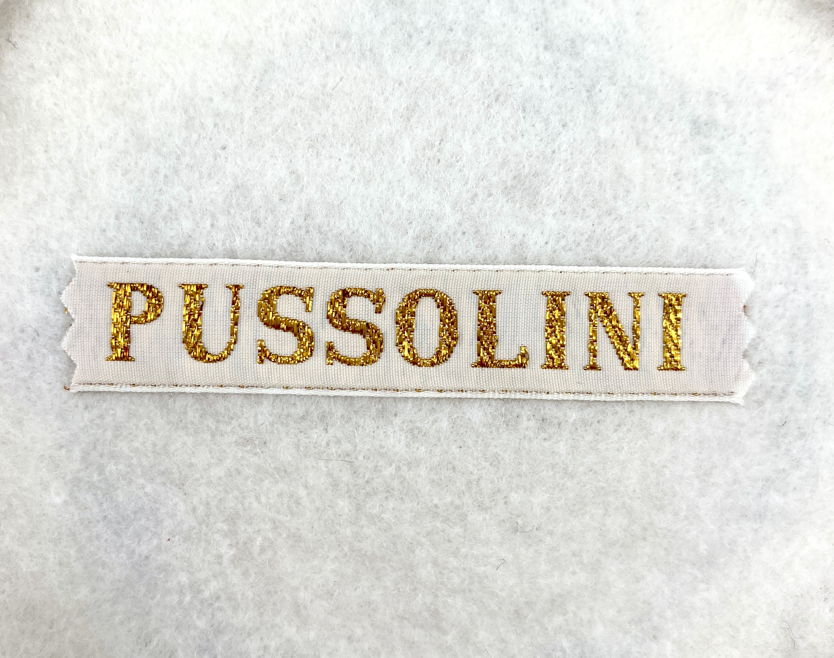 Pussolini™embroidery art: Cat hair is my glitter (black)