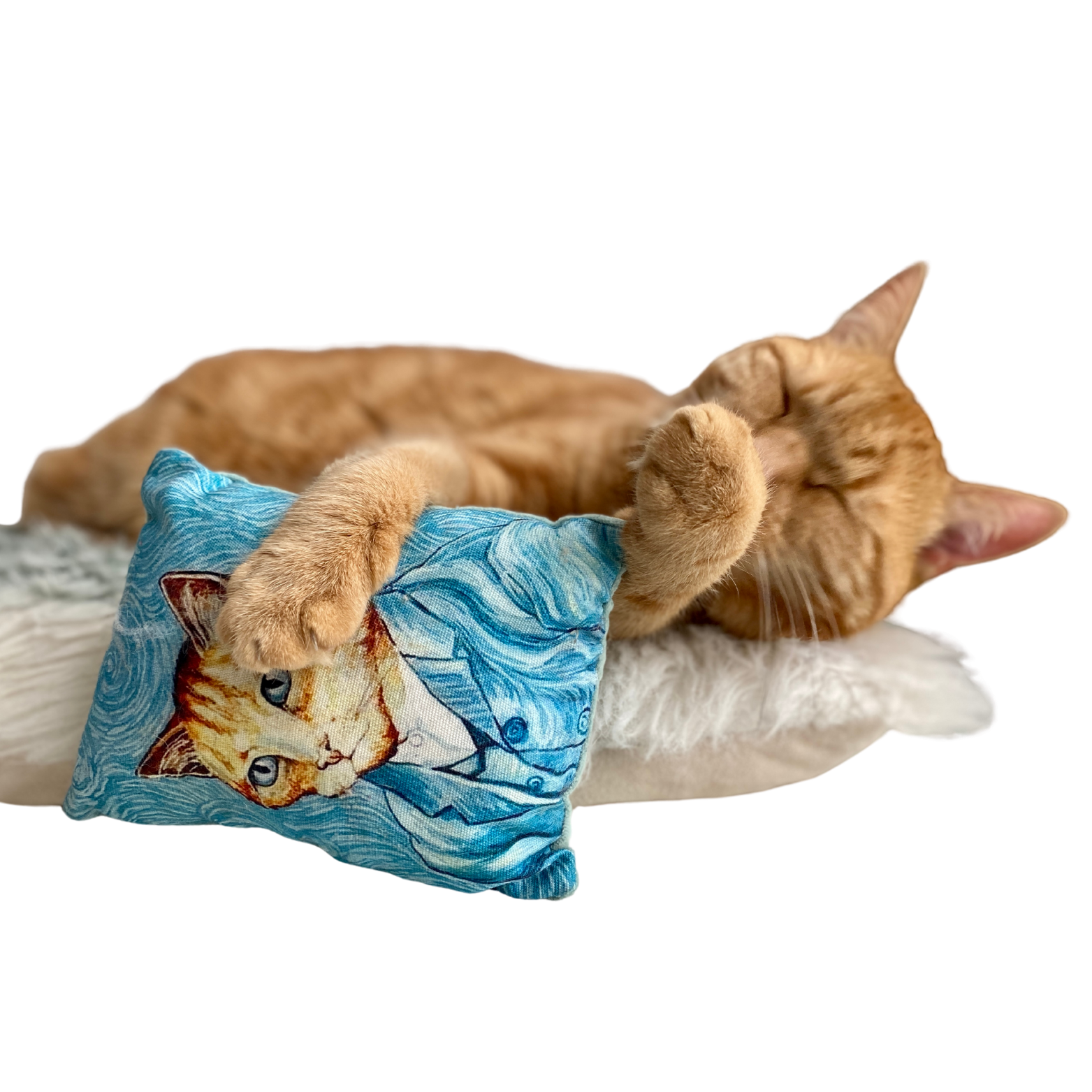 Pussolini™ Kat Van Gogh