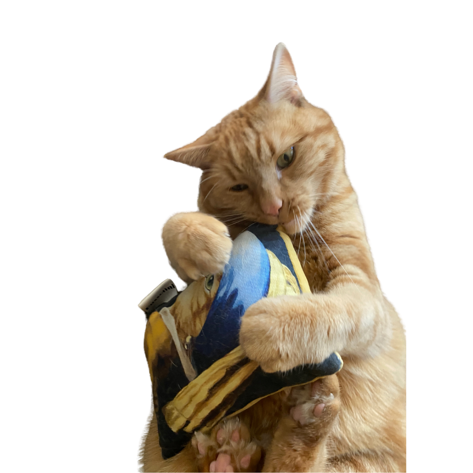 Pussolini™ Katja met de parel