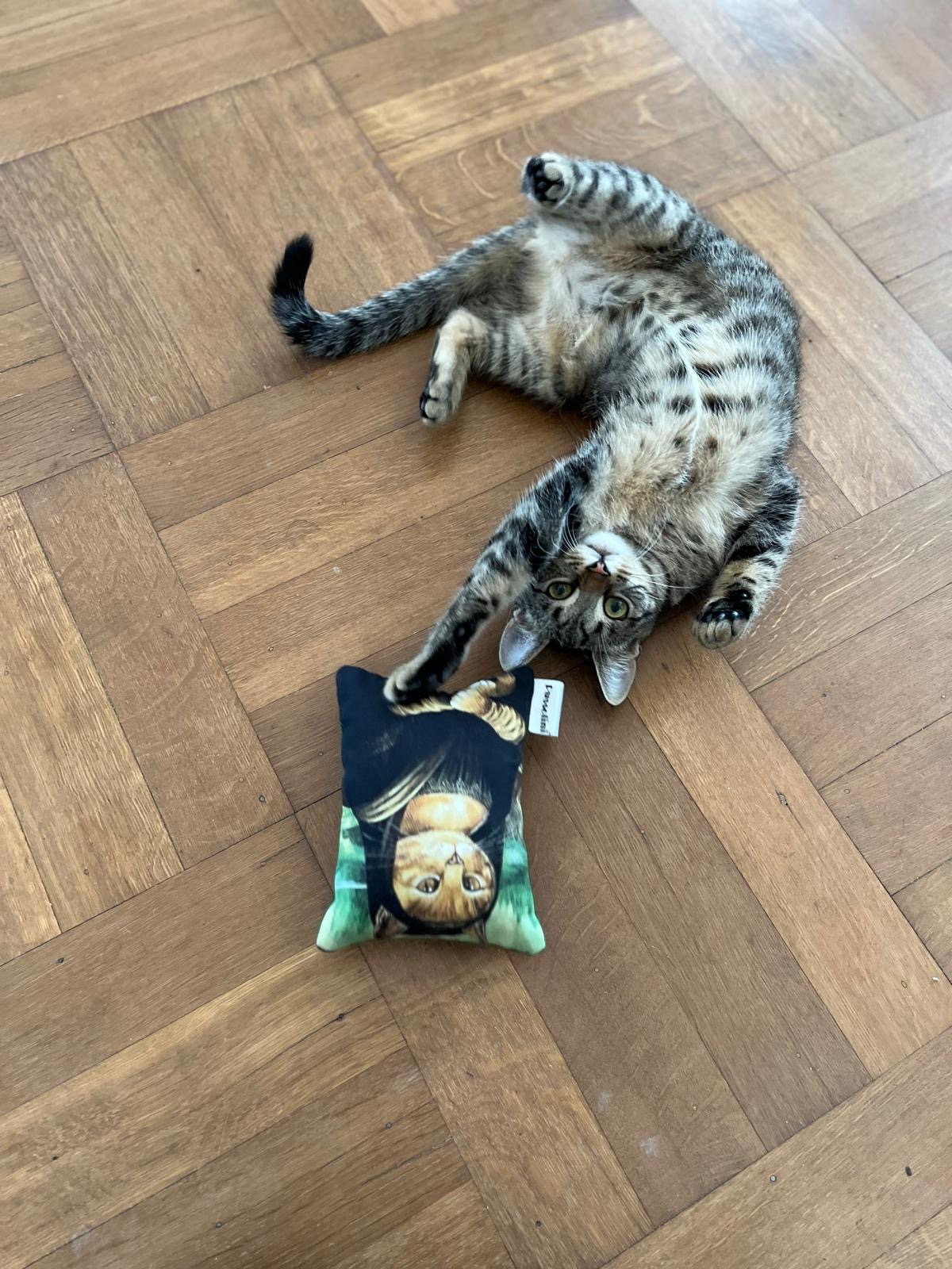 Pussolini™ Meowa Lisa