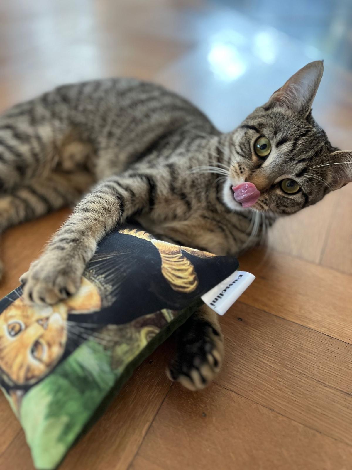 Pussolini™ Meowa Lisa