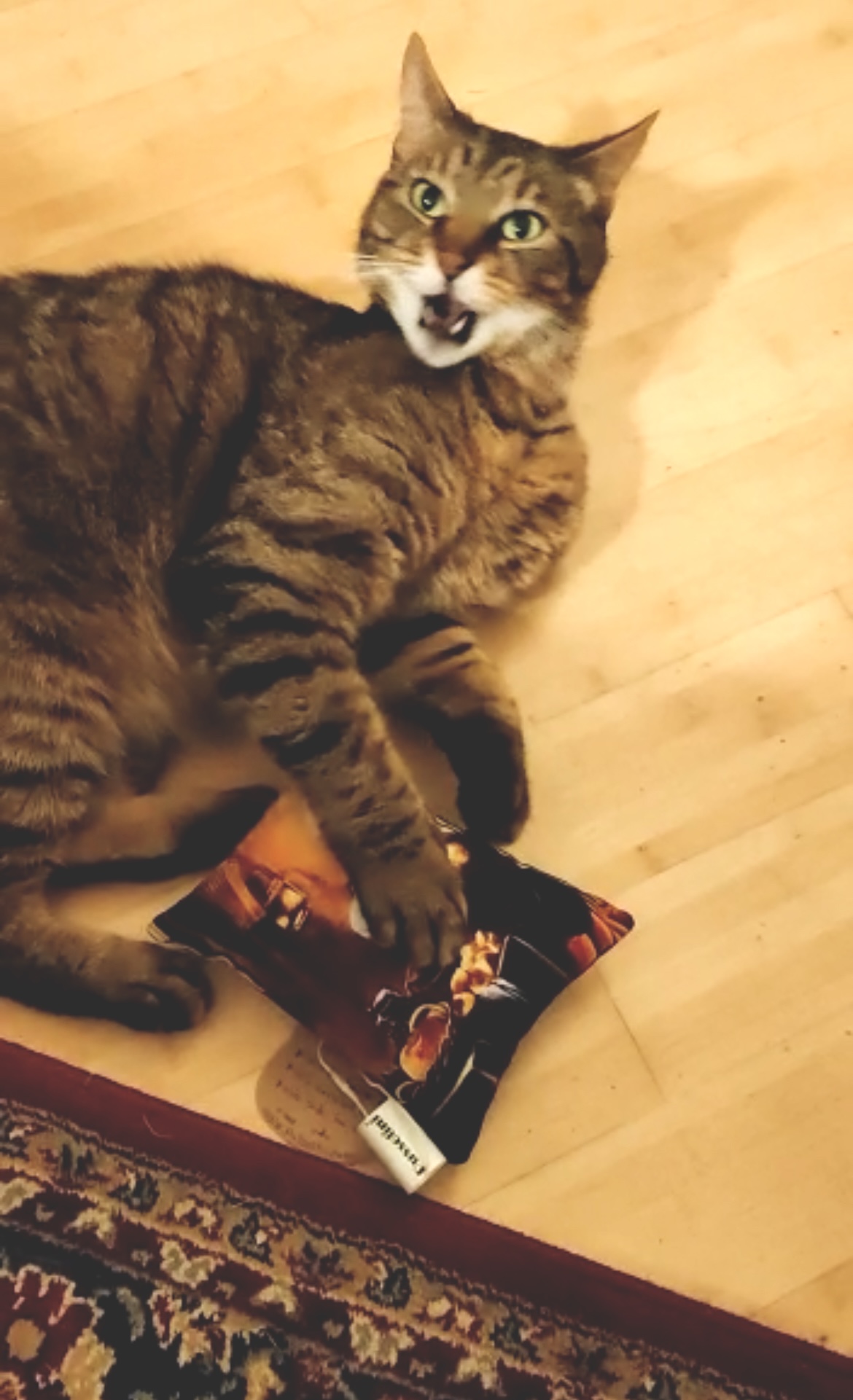 Pussolini™ the Meowmaid