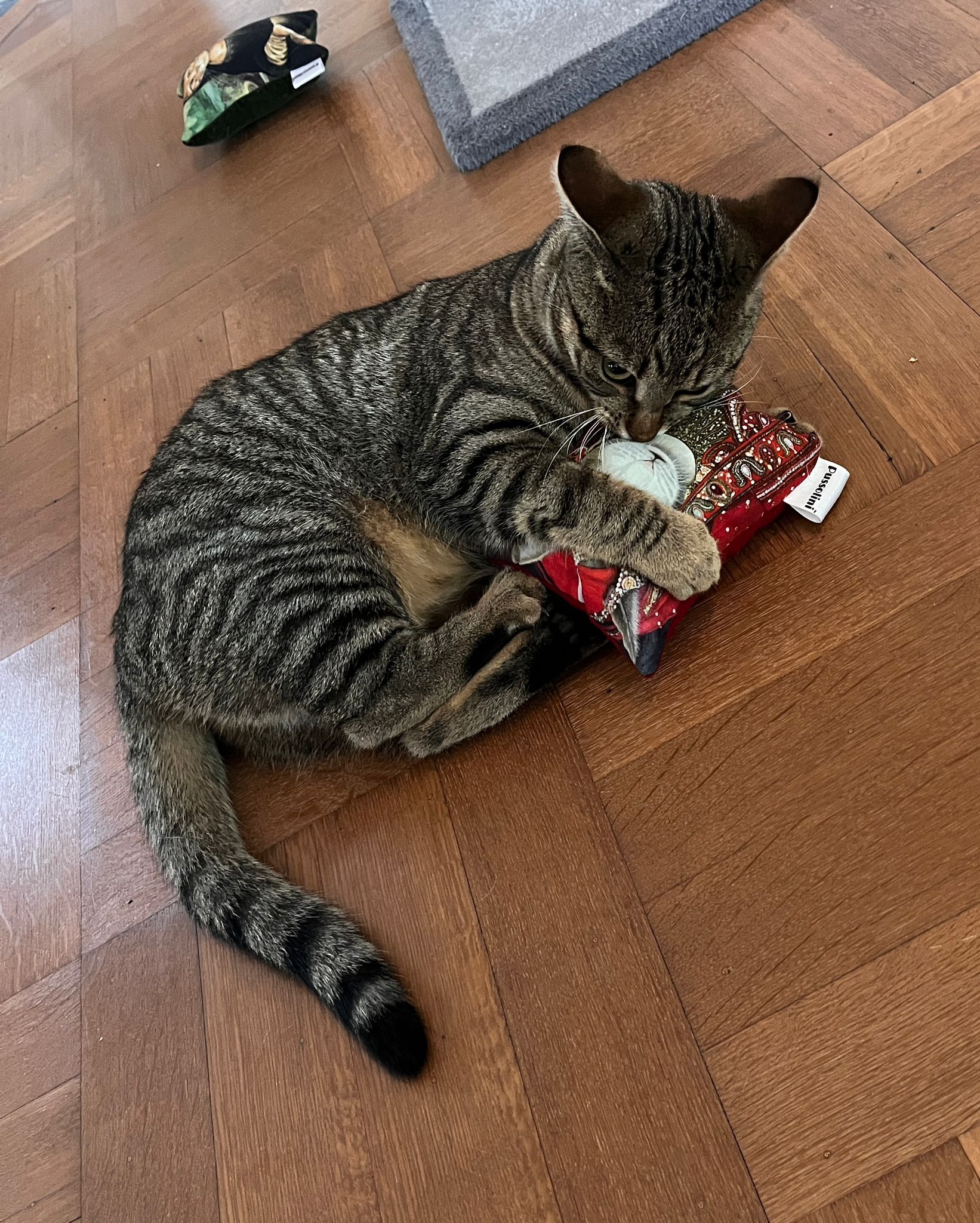 Pussolini™ Dulhan Dunya