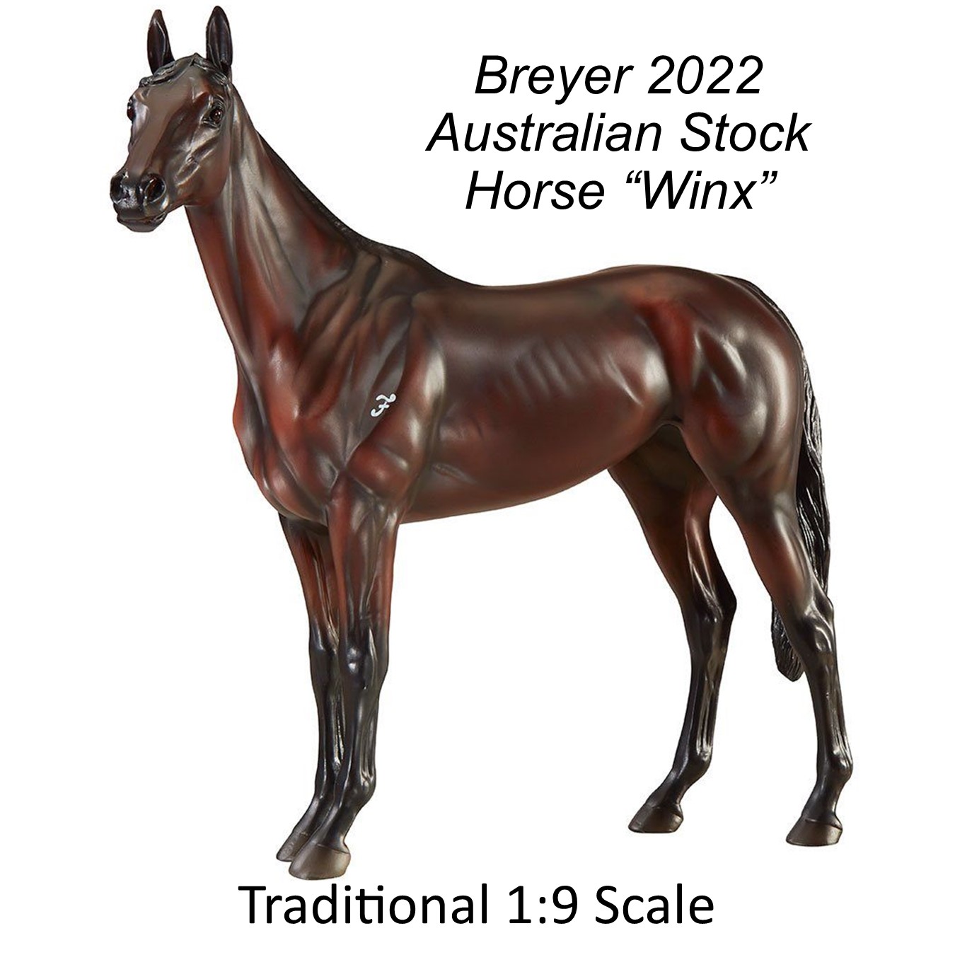 Breyer 2020 Australian Racehorse "Winx" with a LE Blanket #1128 LE  NIB