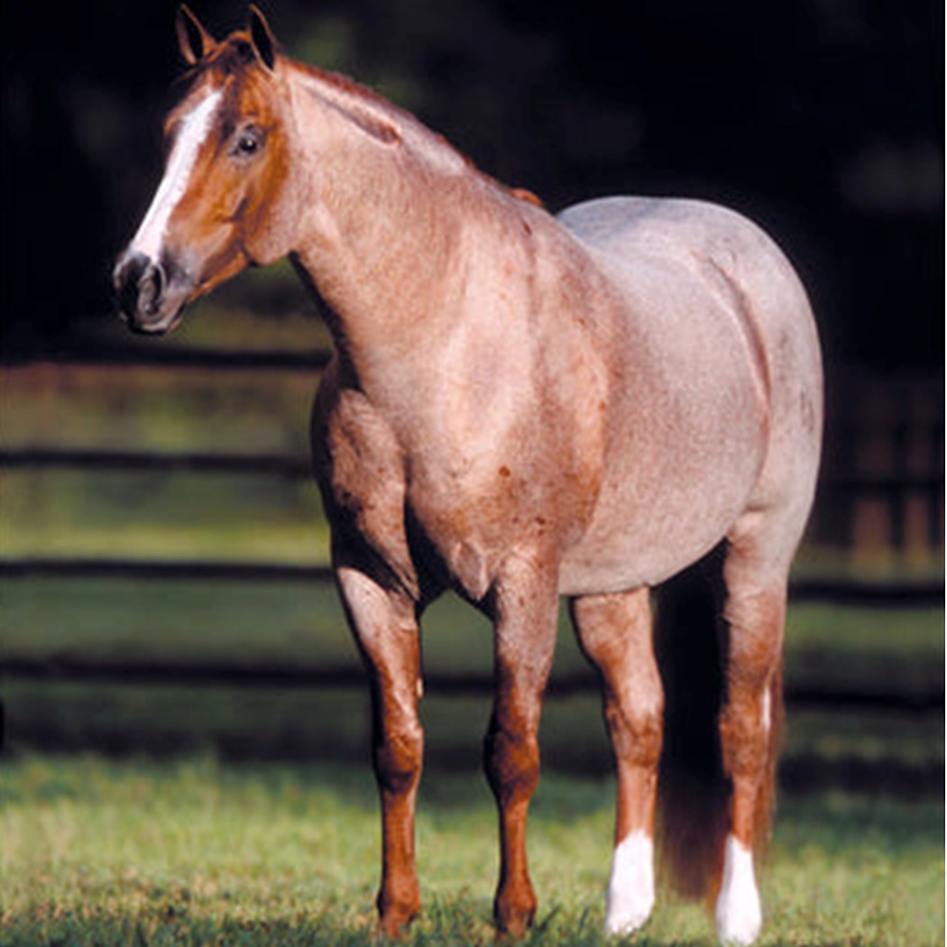 Breyer 2020 Legendary Sire 'Peptoboonsmal' Red Roan Retired