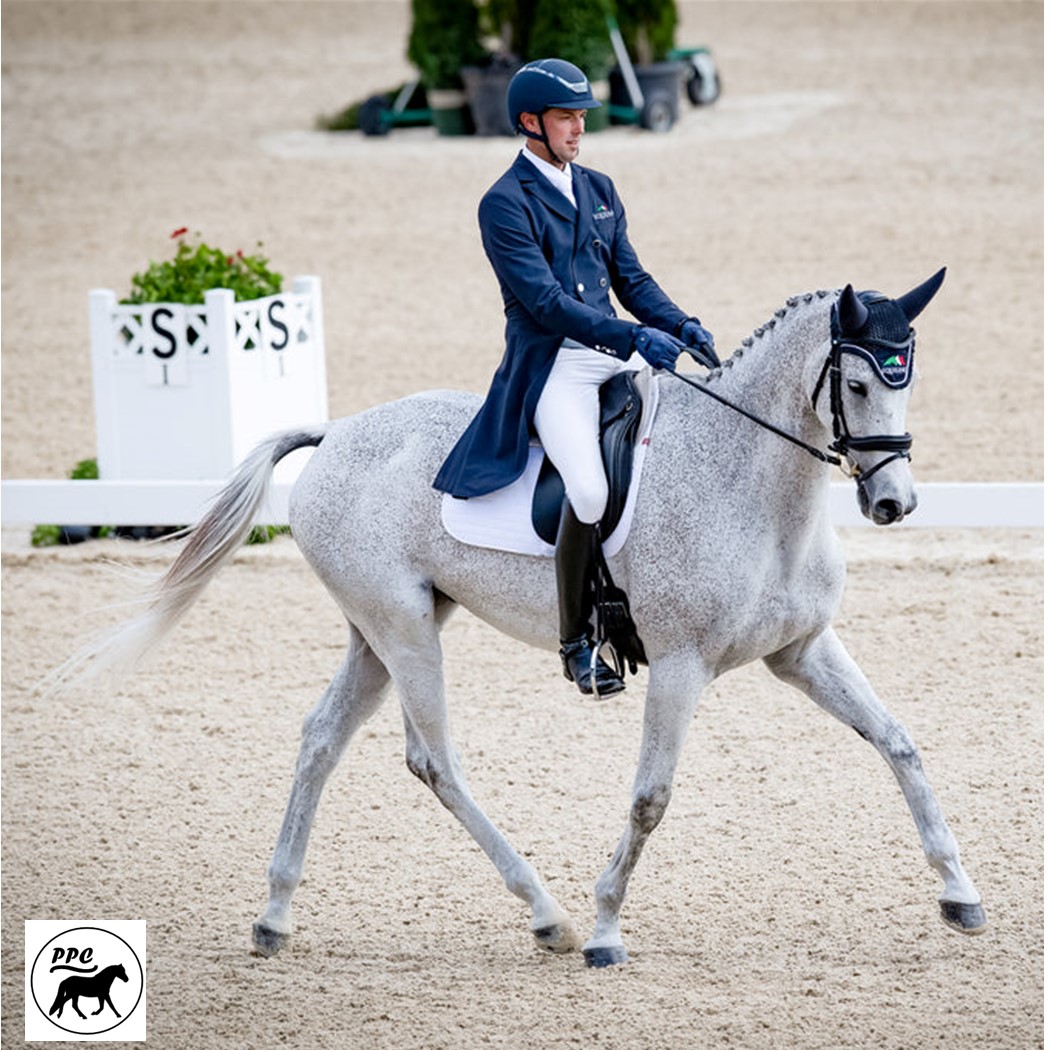 BreyerFest (BF) 2025 Celebration Portrait Model "Tight Lines" known as "Phish" French Throughbred