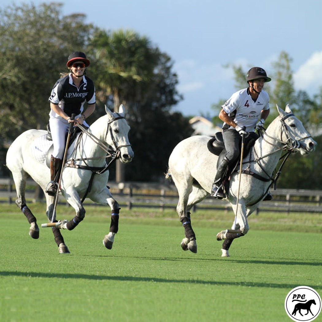 BreyerFest (BF) 2025 Special Run Vanner "Yolo"  LE SR