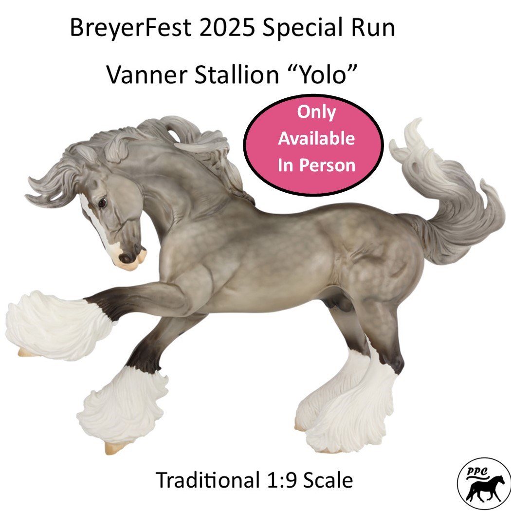 BreyerFest (BF) 2025 Special Run Vanner "Yolo"  LE SR