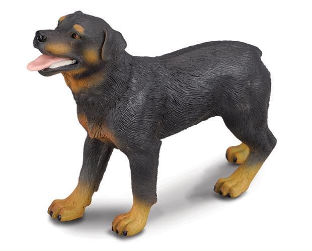 CollectA Rotweiler Dog NIP