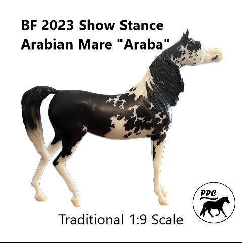 BF 2023 Show Stance Arabian Mare 'Araba' LE of 2,160