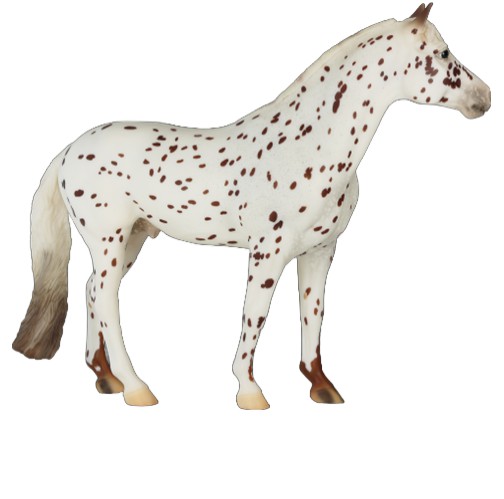 BF 2026 Limited Edition Portrait Knabstrupper "Pyxis av Drommarna" Preorder NIB