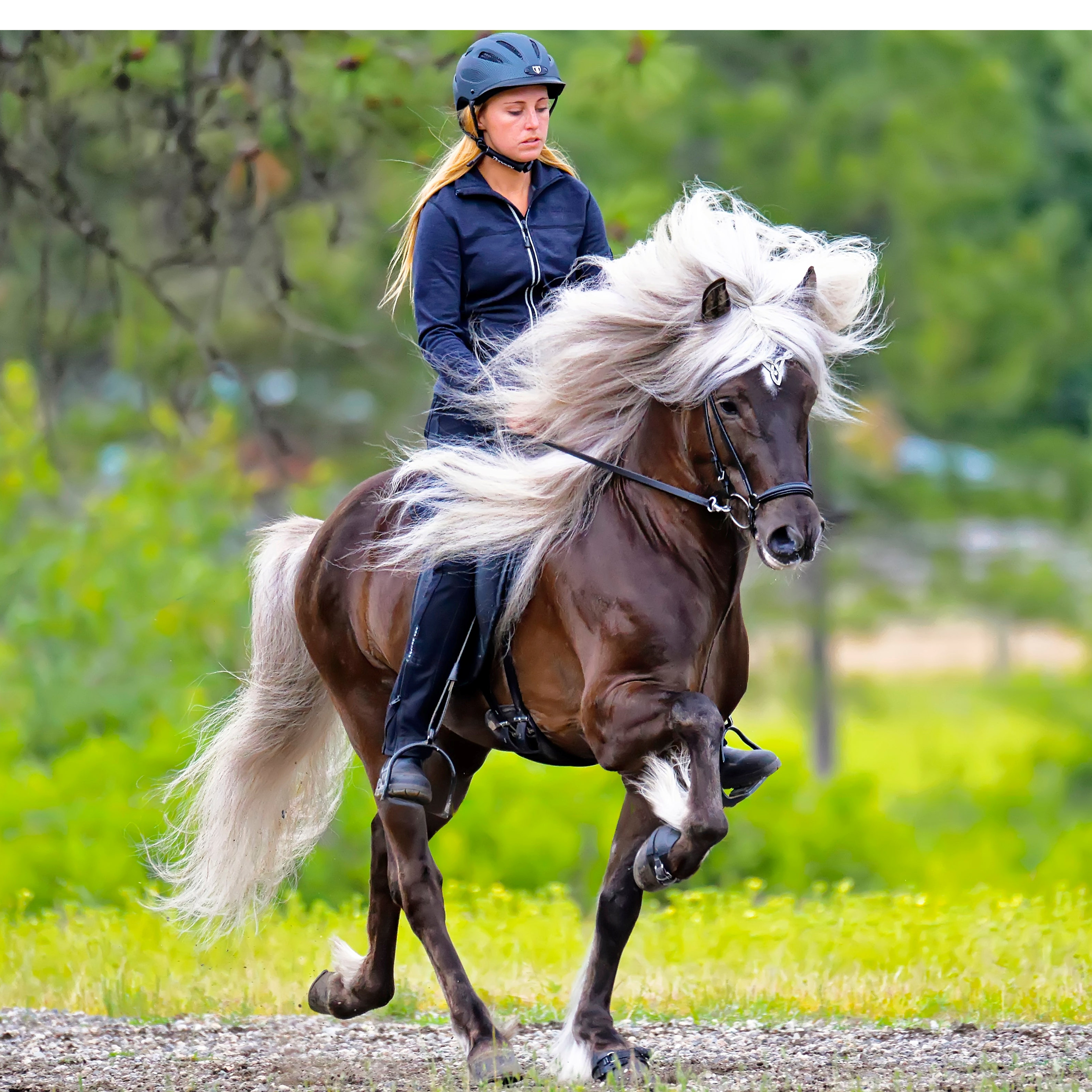 BF 2026 Limited Edition 'Portrait model "Vindur from Dalalif'"