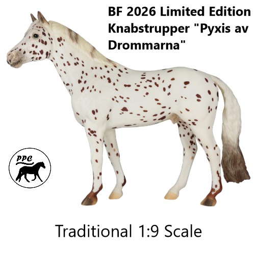 BF 2026 Limited Edition Portrait Knabstrupper "Pyxis av Drommarna" Preorder NIB