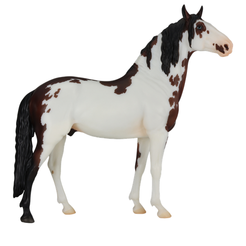BF 2026 Special Run Murgese Stallion "Midnattssol" sabino-frame with blue eyes