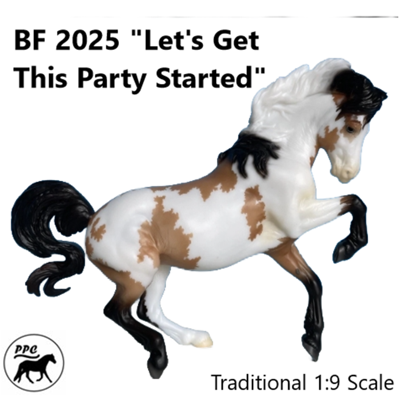 BF 2025 Buckskin Overo "Let's Get This Party Started"  LE  NIP