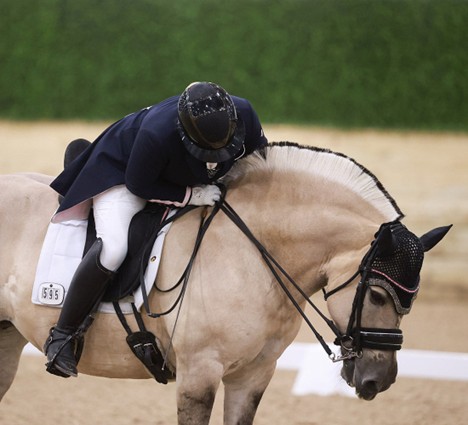 BF 2026 Celebration Model "Corgi Hill Flicka"