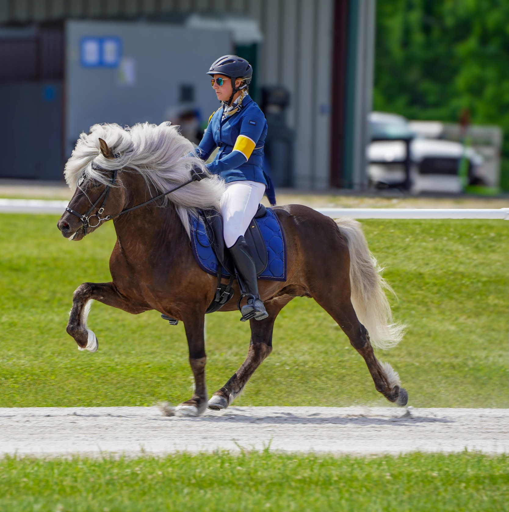 BF 2026 Limited Edition 'Portrait model "Vindur from Dalalif'"