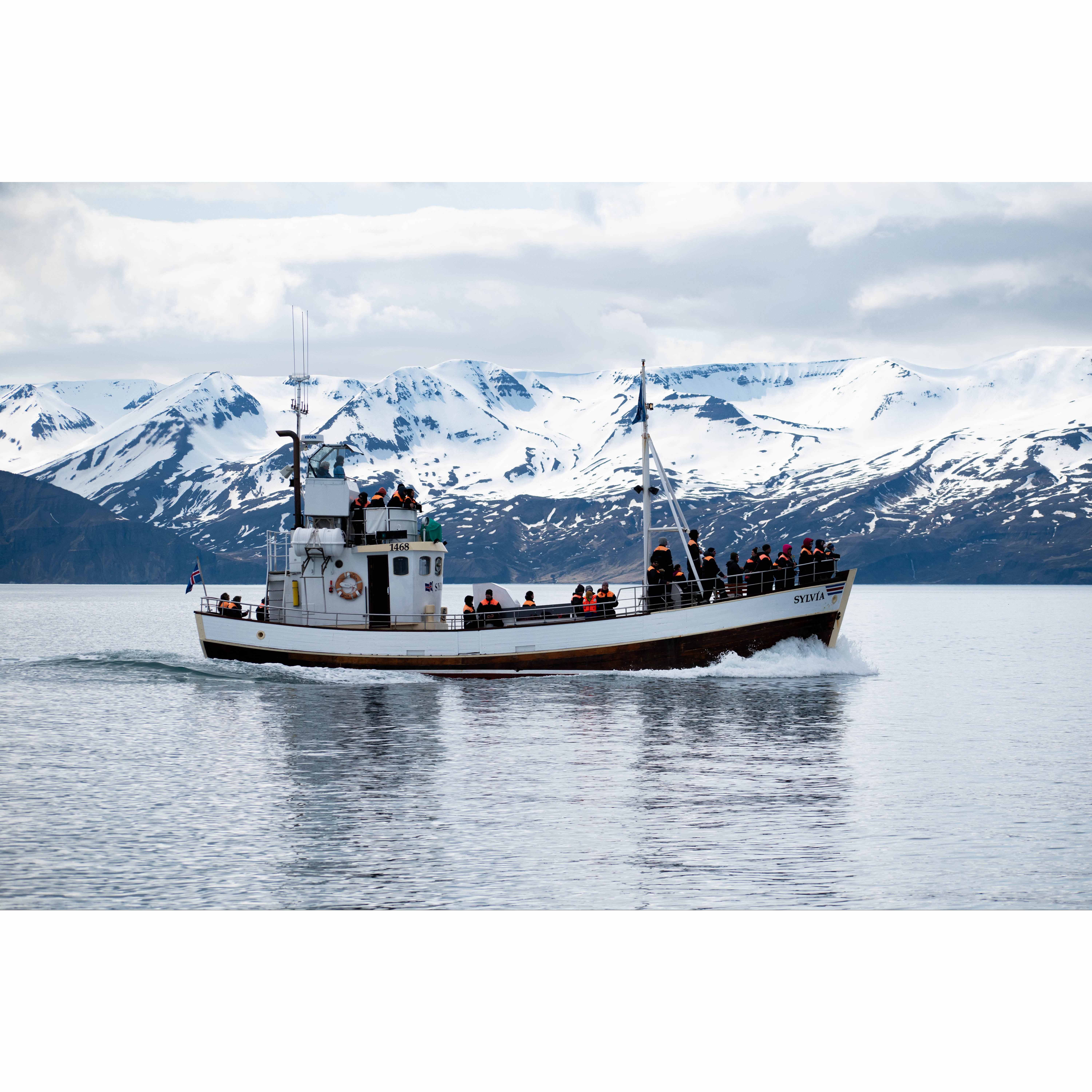 Far North fishing