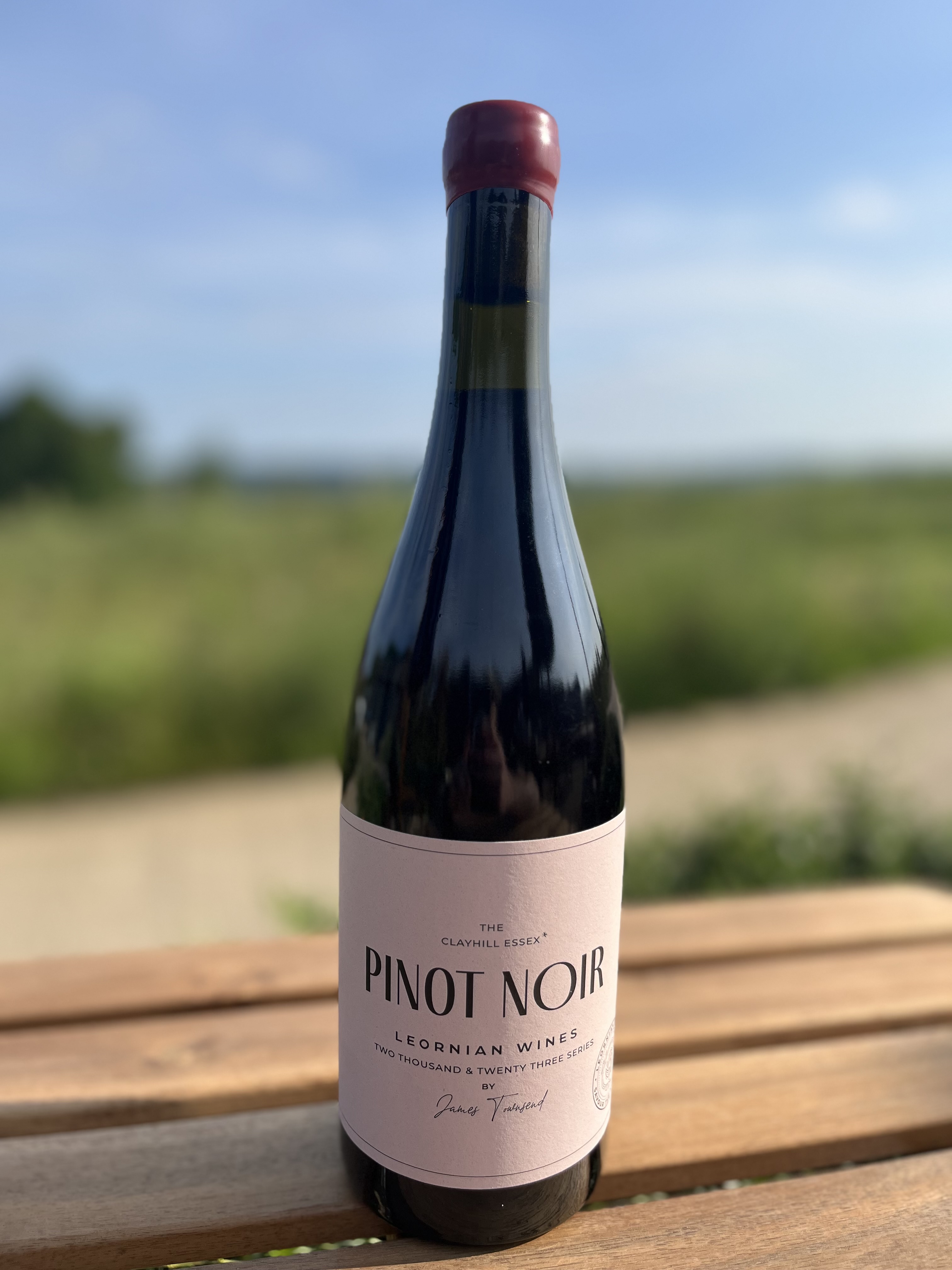 Pinot Noir 2023