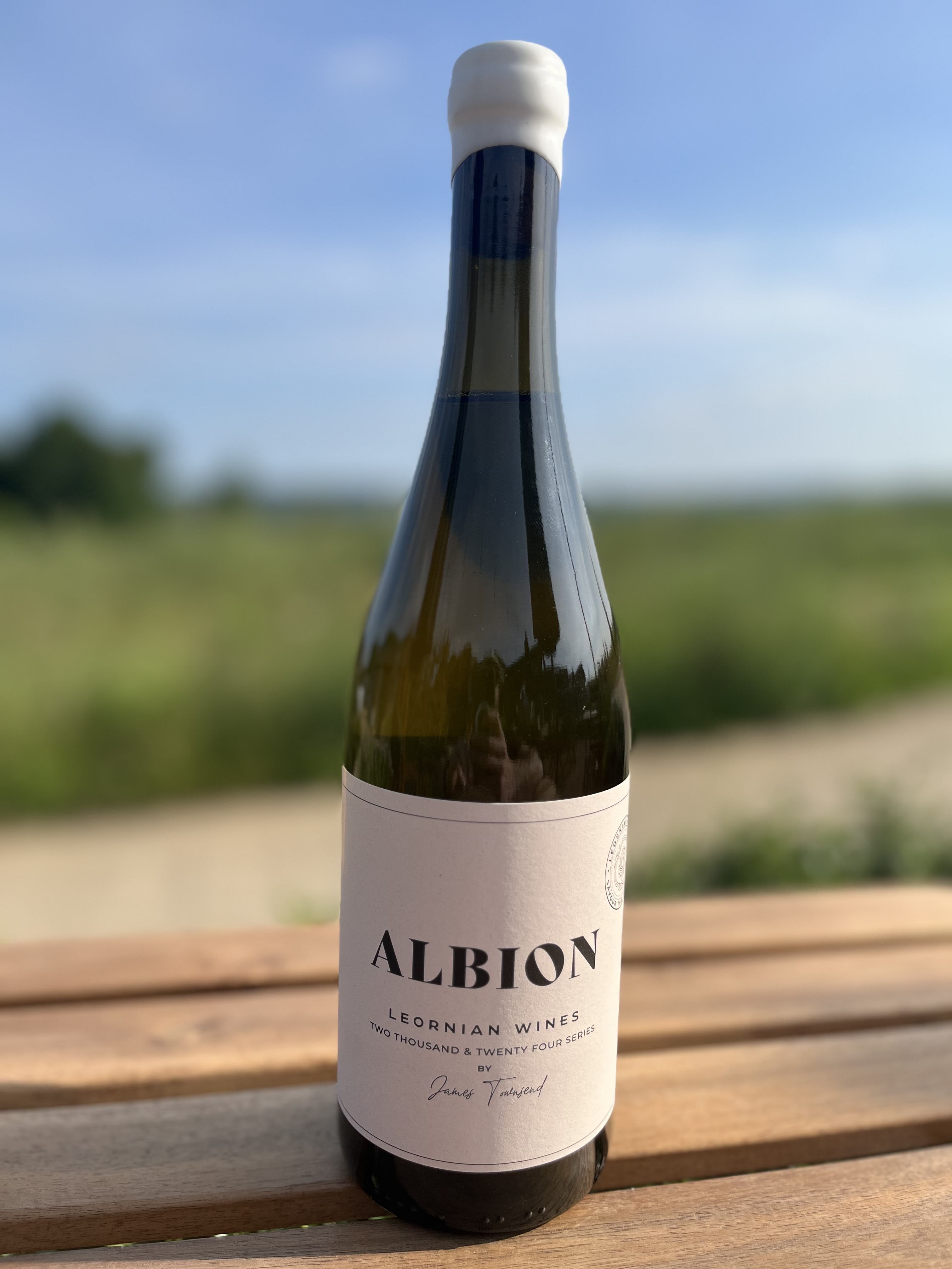 Albion 2024