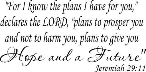 Jeremiah 29:11 Vinyl Wall Art