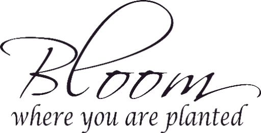 Bloom where you are planted.