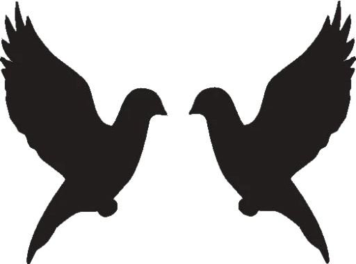 Doves