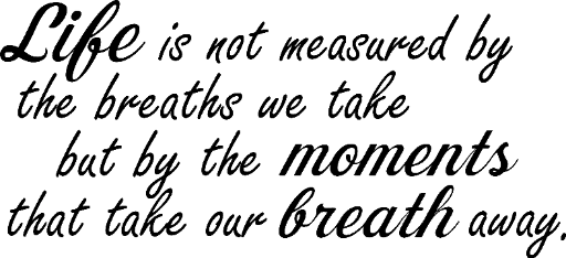 Life is not measured by the breaths we take but by the moments that take our breath away.